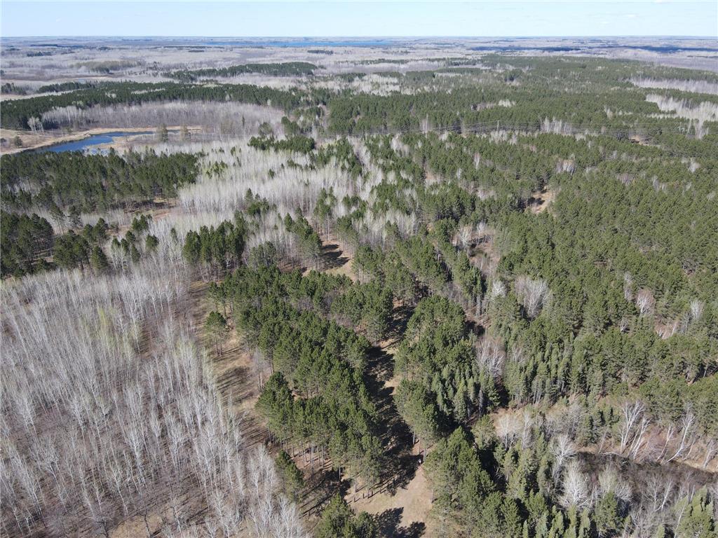 TBD (164.21AC) Maple Grove Road Cloquet MN 55720 7075592 image11