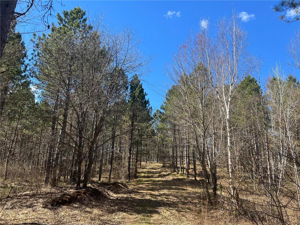 TBD (164.21AC) Maple Grove Road Cloquet MN 55720 7075592 image12