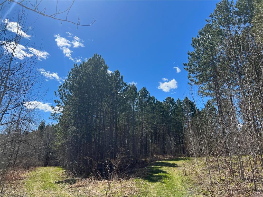 TBD (164.21AC) Maple Grove Road Cloquet MN 55720 7075592 image14