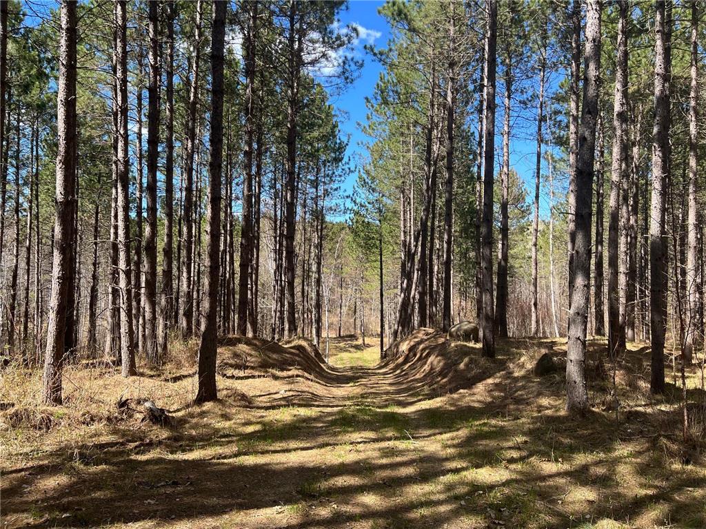 TBD (164.21AC) Maple Grove Road Cloquet MN 55720 7075592 image15
