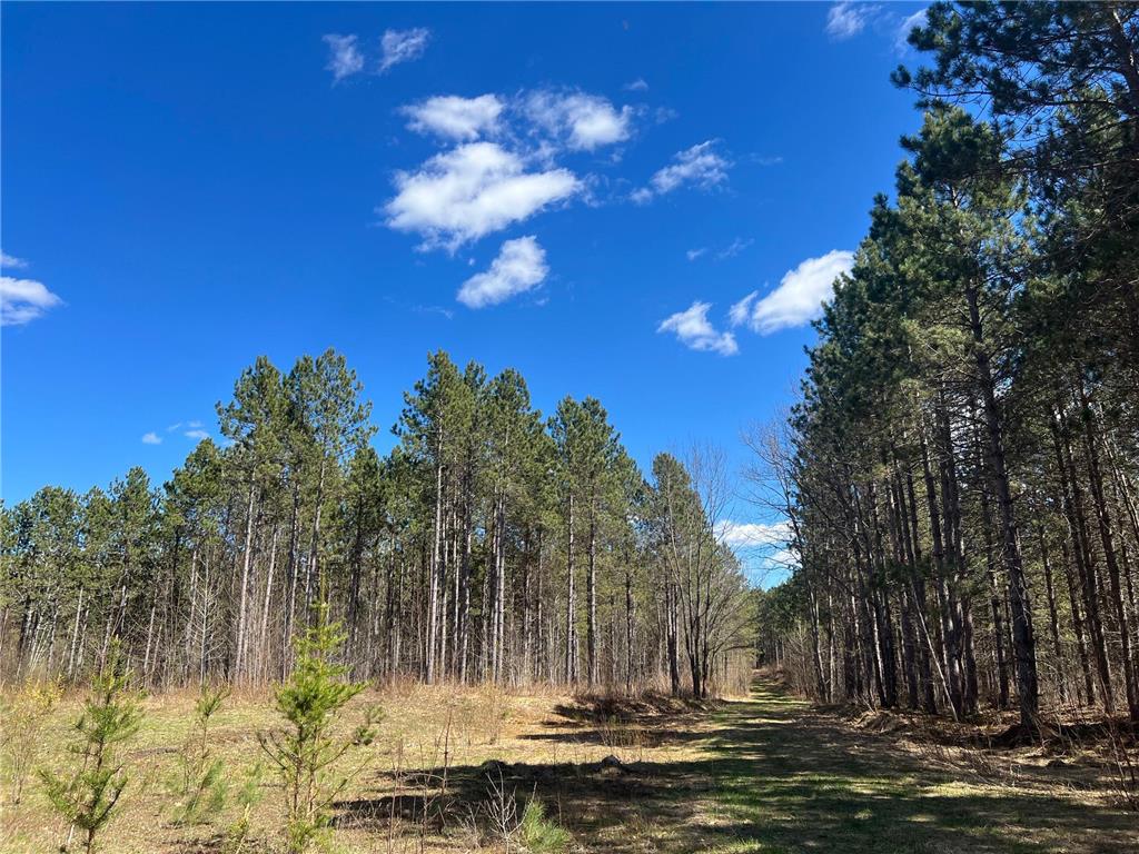 TBD (164.21AC) Maple Grove Road Cloquet MN 55720 7075592 image17