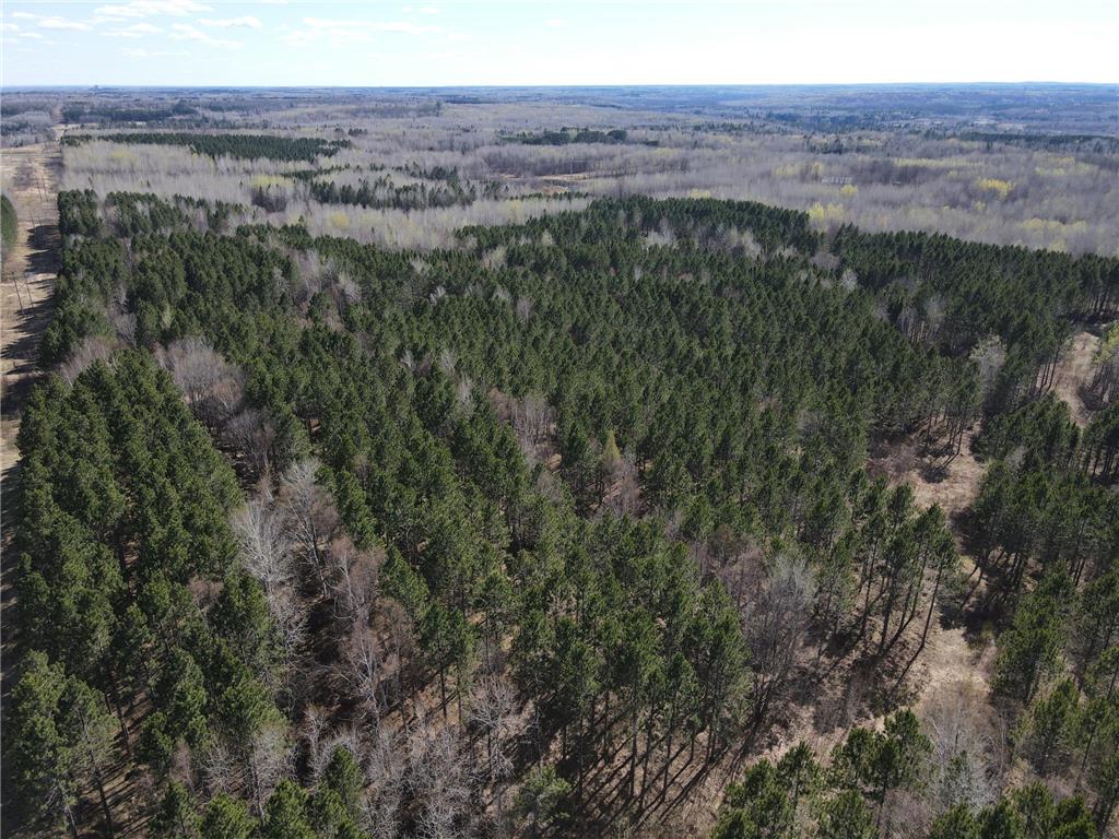 TBD (164.21AC) Maple Grove Road Cloquet MN 55720 7075592 image23