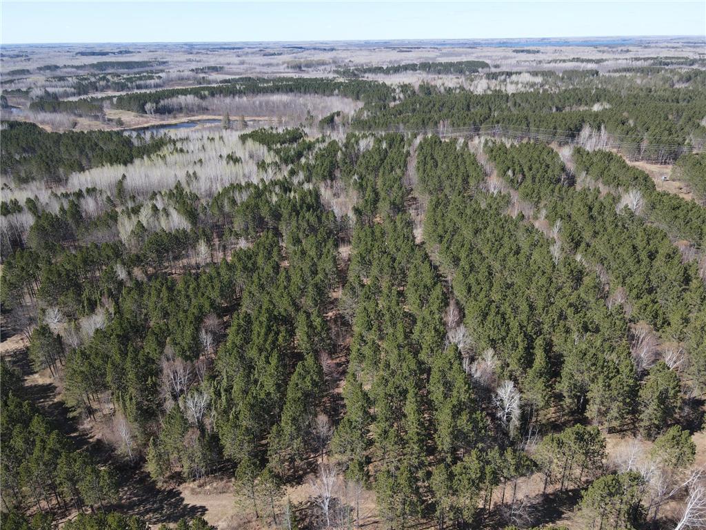 TBD (164.21AC) Maple Grove Road Cloquet MN 55720 7075592 image4