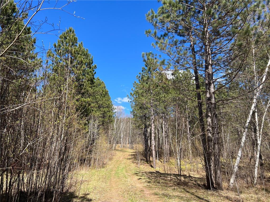 TBD (164.21AC) Maple Grove Road Cloquet MN 55720 7075592 image5
