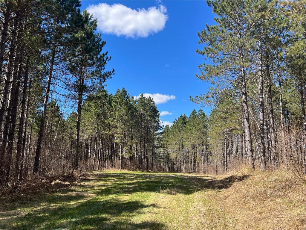TBD (164.21AC) Maple Grove Road Cloquet MN 55720 7075592 image6