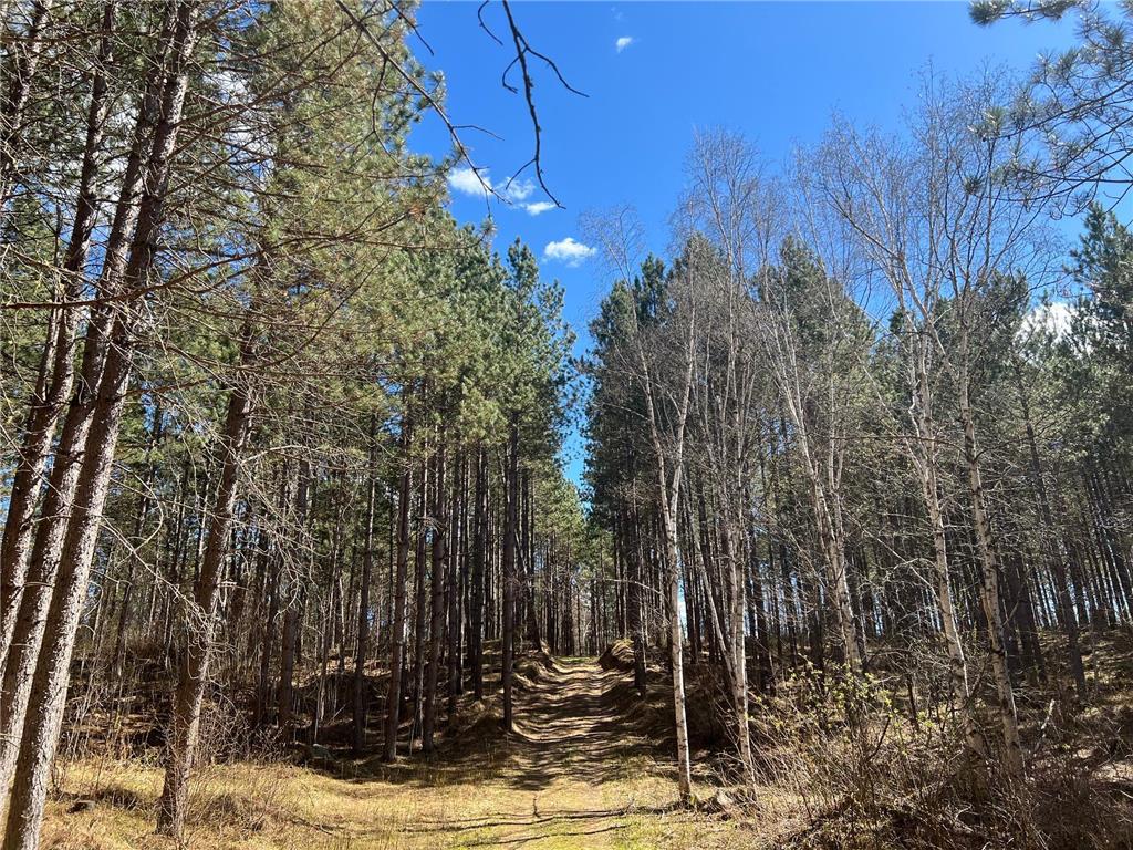 TBD (164.21AC) Maple Grove Road Cloquet MN 55720 7075592 image7