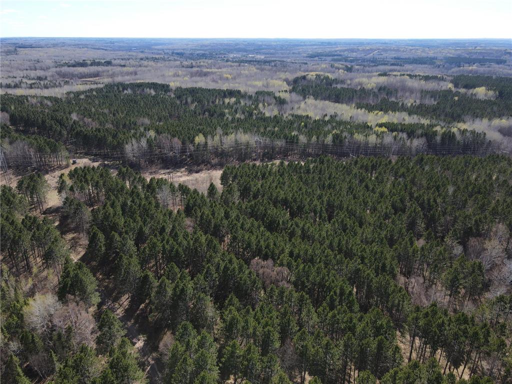 TBD (164.21AC) Maple Grove Road Cloquet MN 55720 7075592 image9