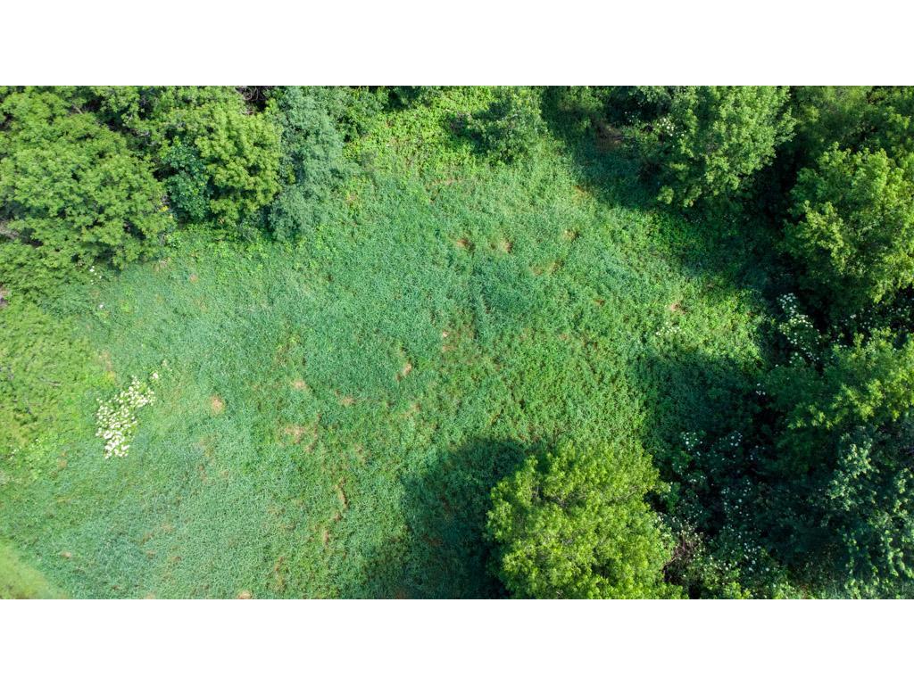 TBD 169th Avenue NE Ham Lake MN 55304 6821895 image2