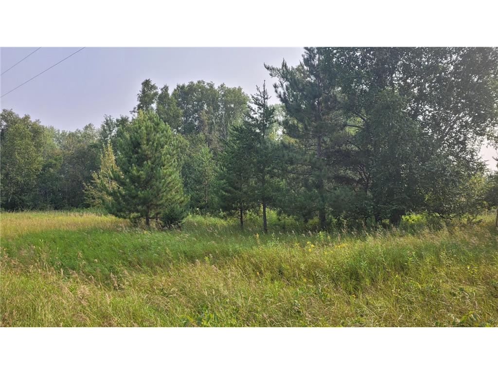 TBD* 16th Street SW Backus MN 56435 6770230 image1