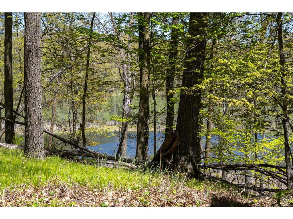 TBD 170th Ave/Cty Rd I Apple River Twp WI 54810 7079135 image16
