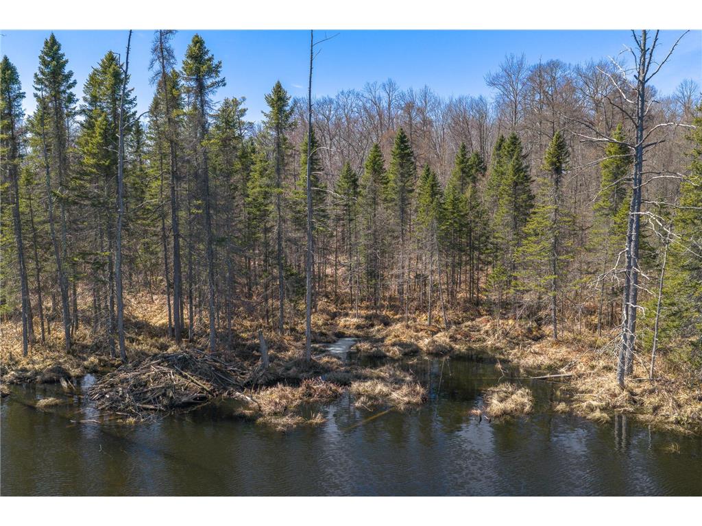 TBD 170th Ave/Cty Rd I Apple River Twp WI 54810 7079135 image23