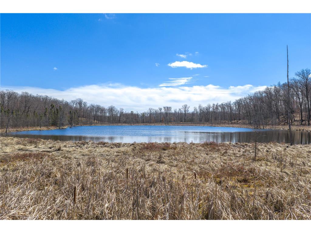 TBD 170th Ave/Cty Rd I Apple River Twp WI 54810 7079135 image24