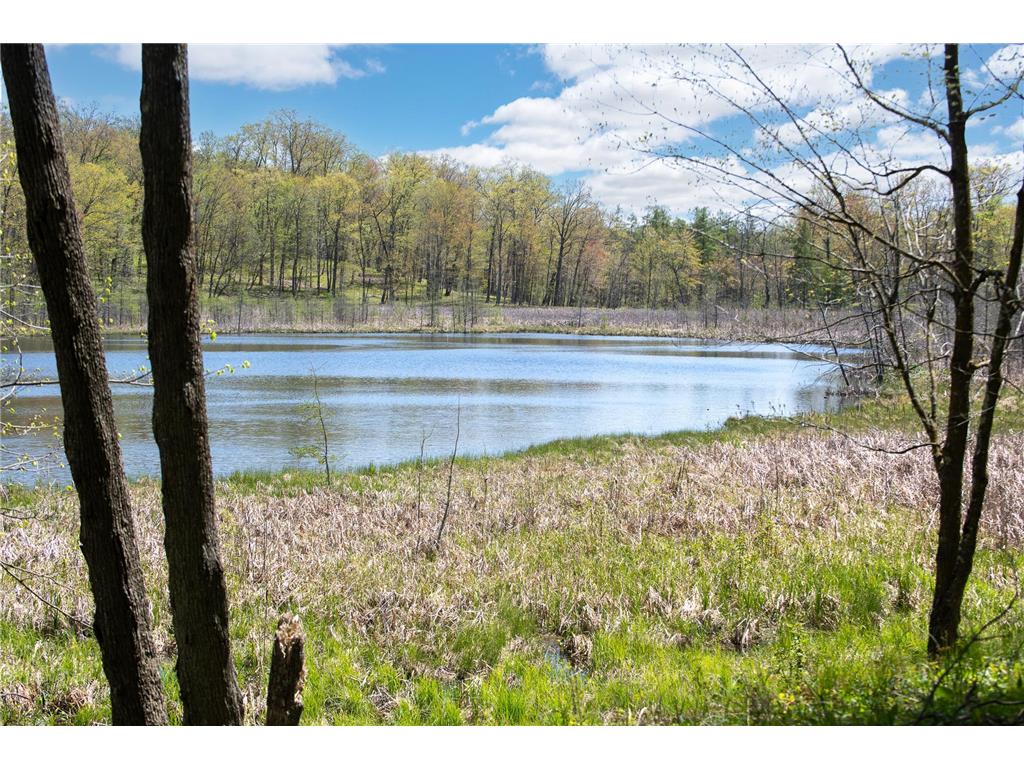 TBD 170th Ave/Cty Rd I Apple River Twp WI 54810 7079135 image3
