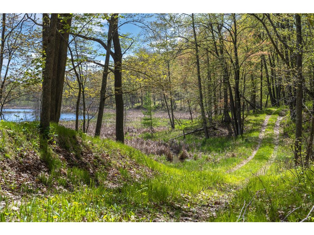 TBD 170th Ave/Cty Rd I Apple River Twp WI 54810 7079135 image4