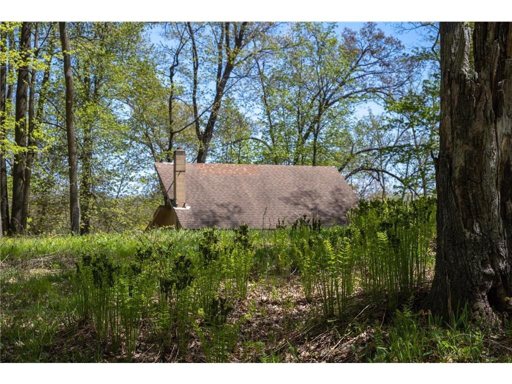 TBD 170th Ave/Cty Rd I Apple River Twp WI 54810 7079135 image5