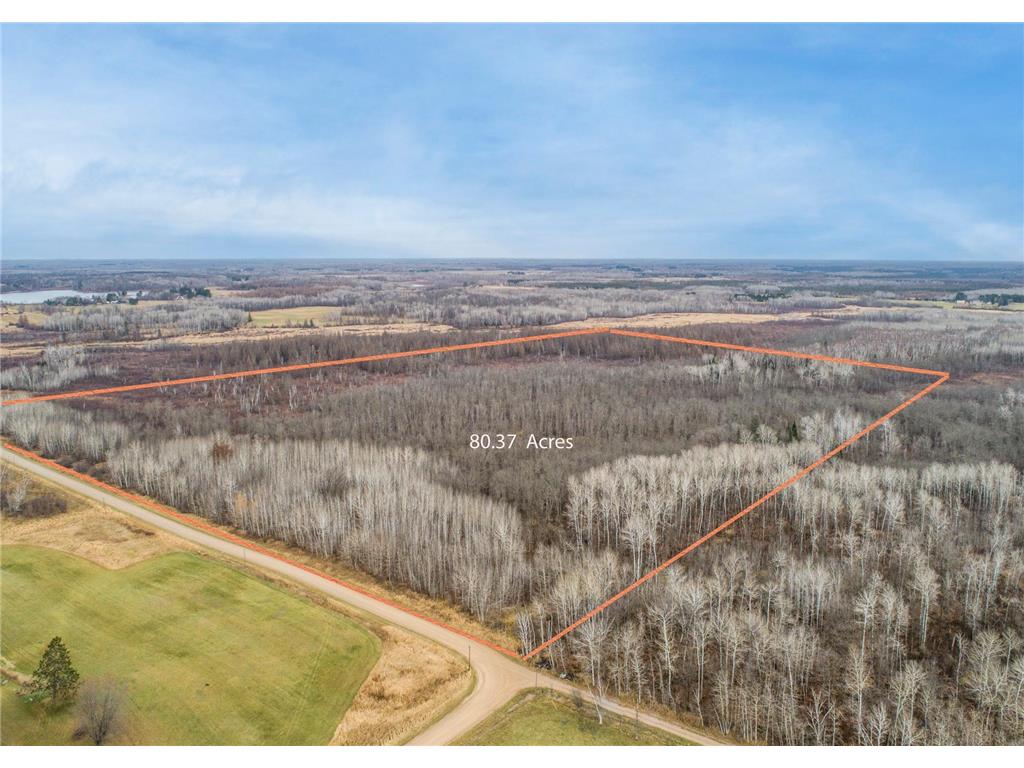 TBD 170th Ave Spalding Twp MN 55760 6815896 image1