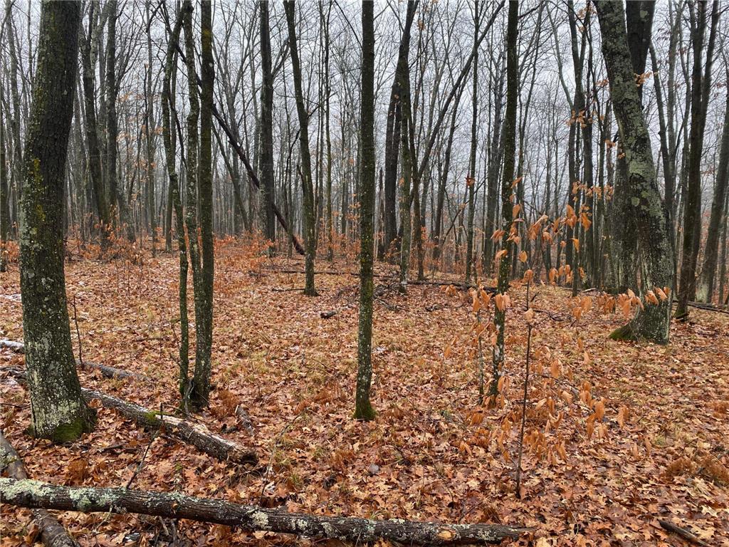 TBD 170th Place Mcgregor MN 55760 - Lost Lake 6812174 image24