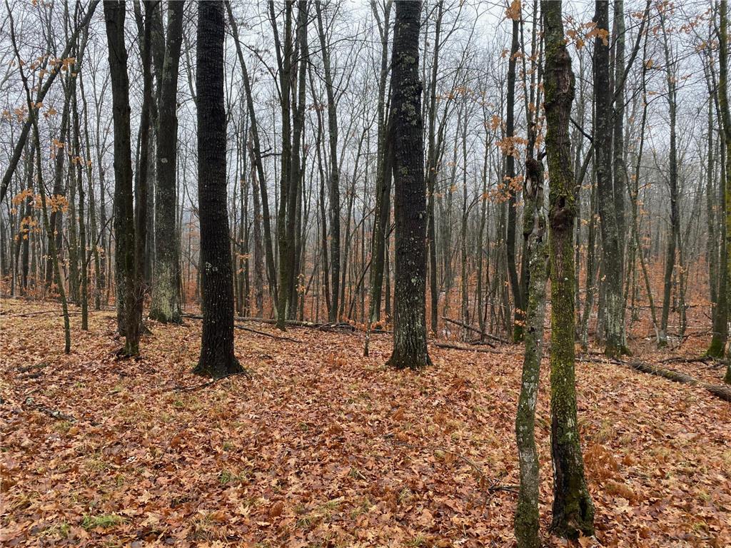 TBD 170th Place Mcgregor MN 55760 - Lost Lake 6812174 image25