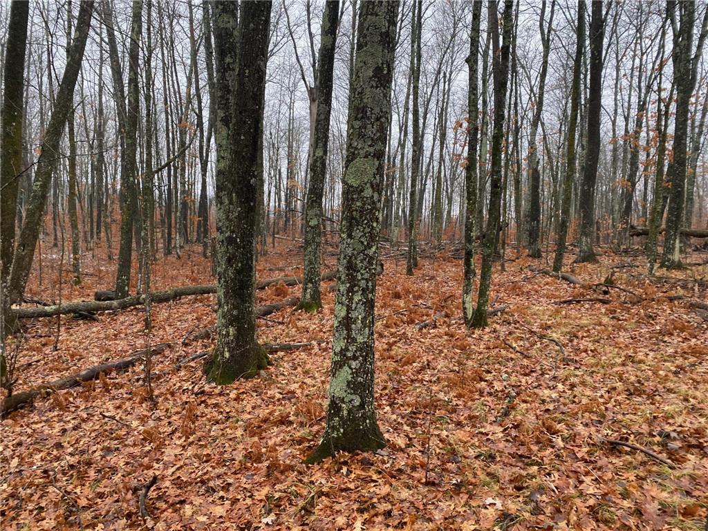 TBD 170th Place Mcgregor MN 55760 - Lost Lake 6812174 image26