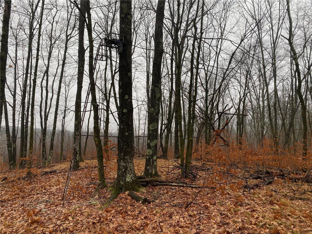 TBD 170th Place Mcgregor MN 55760 - Lost Lake 6812174 image27