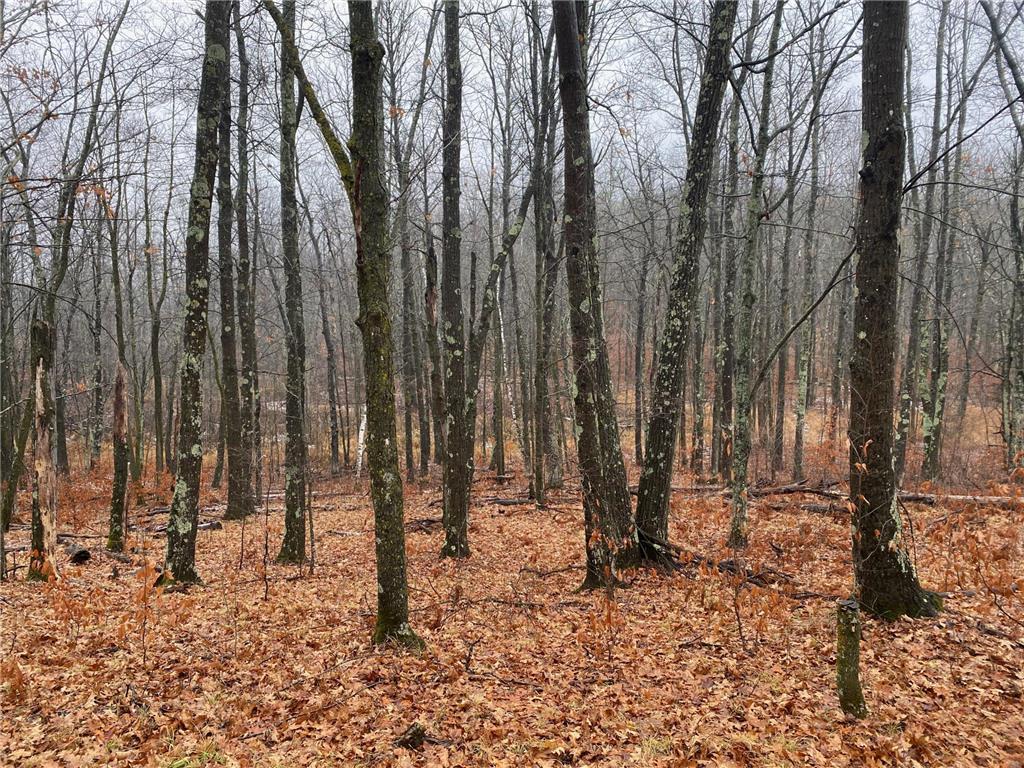 TBD 170th Place Mcgregor MN 55760 - Lost Lake 6812174 image28