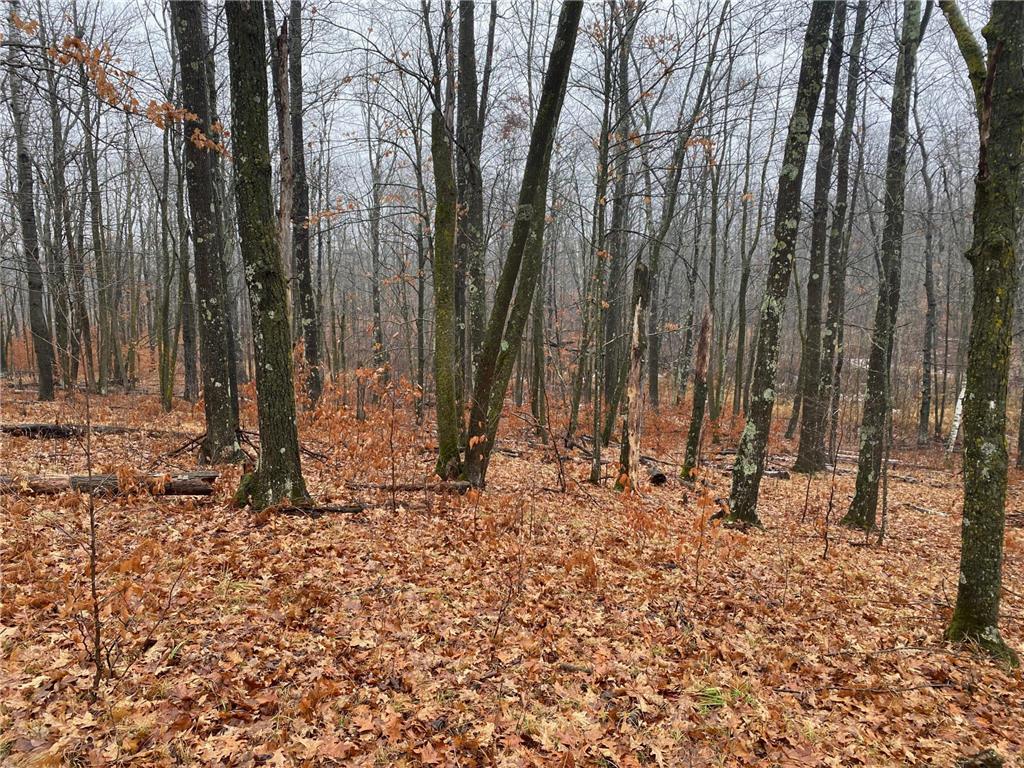 TBD 170th Place Mcgregor MN 55760 - Lost Lake 6812174 image29