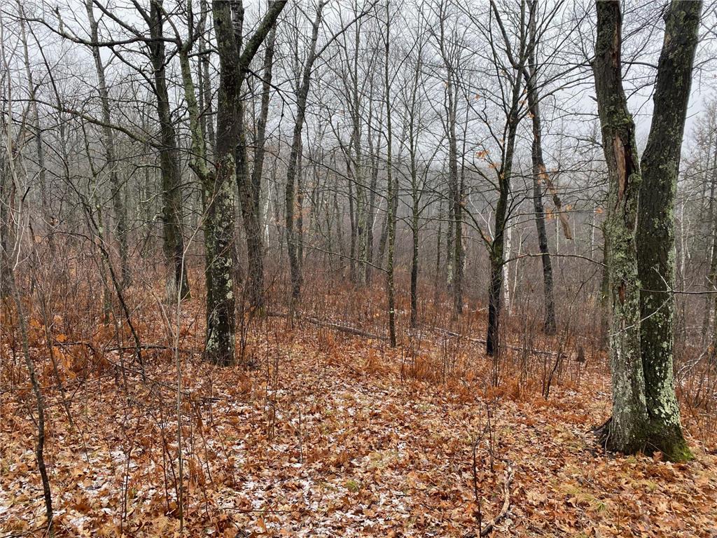 TBD 170th Place Mcgregor MN 55760 - Lost Lake 6812174 image30