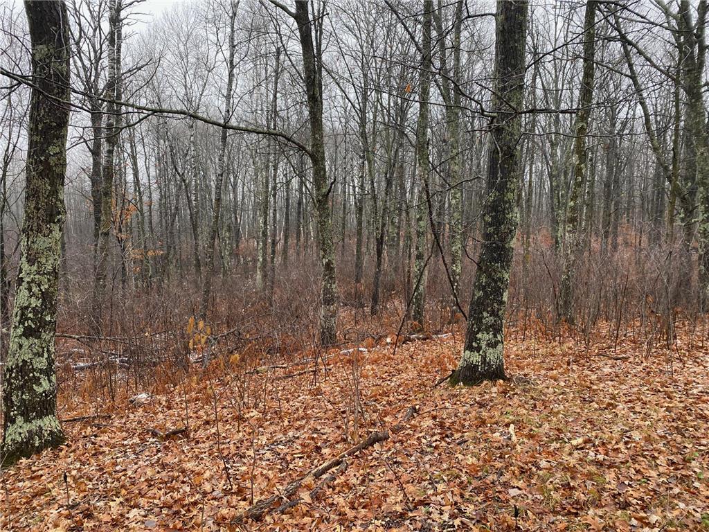 TBD 170th Place Mcgregor MN 55760 - Lost Lake 6812174 image31