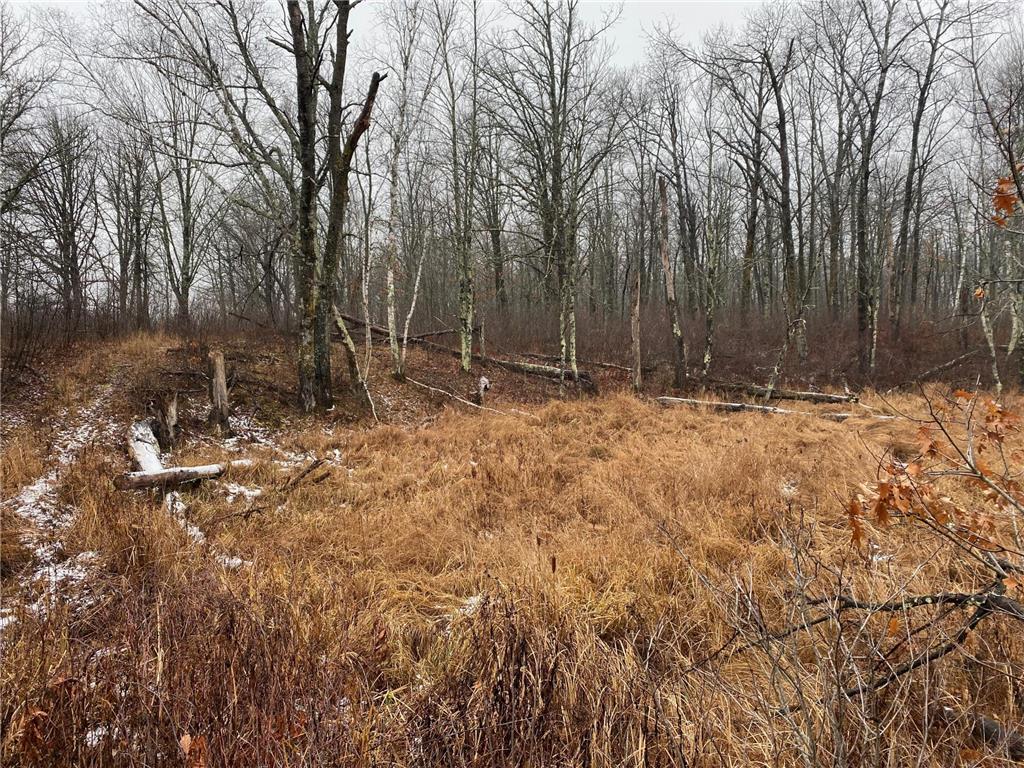 TBD 170th Place Mcgregor MN 55760 - Lost Lake 6812174 image32
