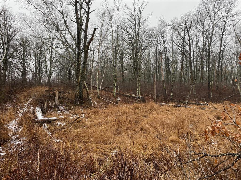 TBD 170th Place Mcgregor MN 55760 - Lost Lake 6812174 image33