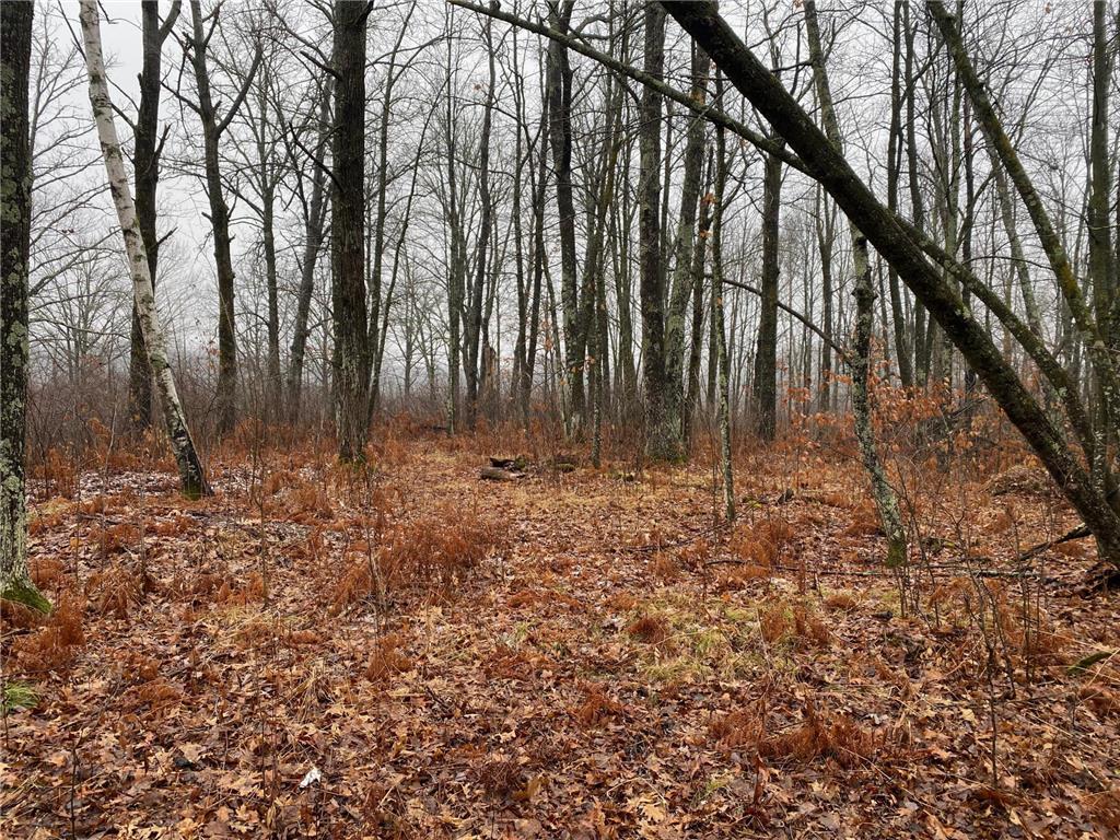 TBD 170th Place Mcgregor MN 55760 - Lost Lake 6812174 image34