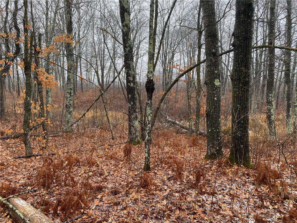 TBD 170th Place Mcgregor MN 55760 - Lost Lake 6812174 image35