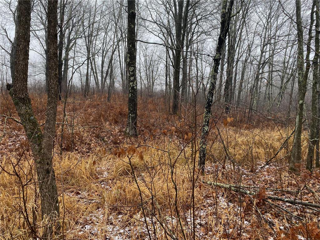 TBD 170th Place Mcgregor MN 55760 - Lost Lake 6812174 image36