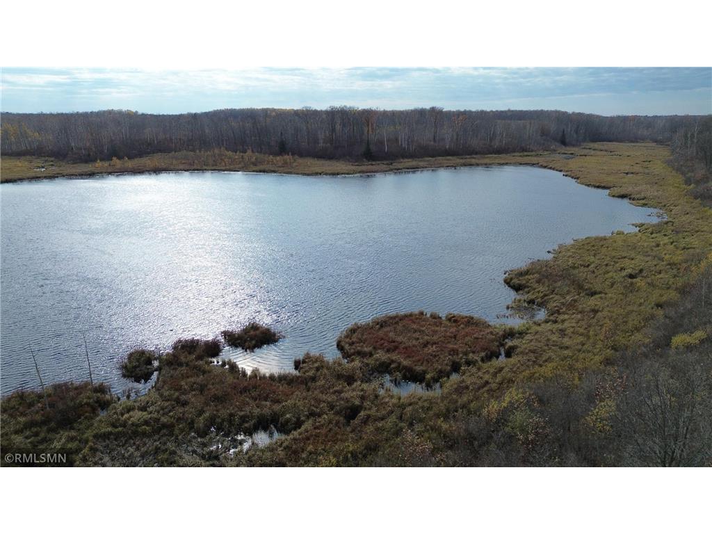 TBD 170th Place Mcgregor MN 55760 - Lost Lake 6812174 image38