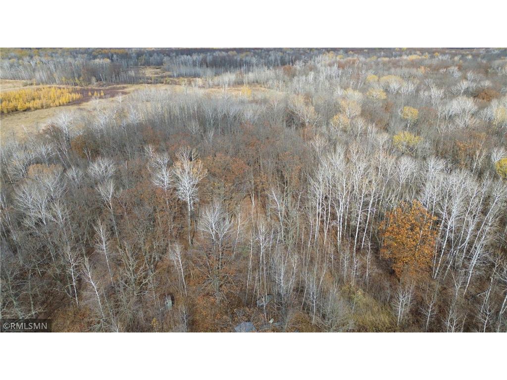 TBD 170th Place Mcgregor MN 55760 - Lost Lake 6812174 image44