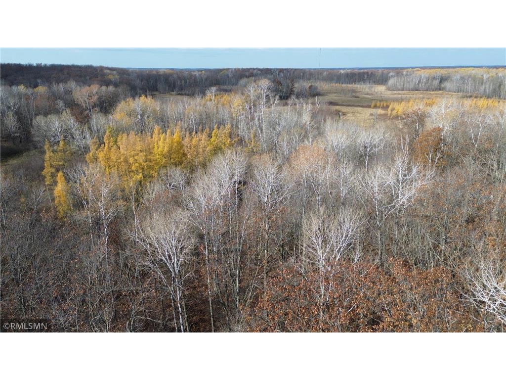 TBD 170th Place Mcgregor MN 55760 - Lost Lake 6812174 image47