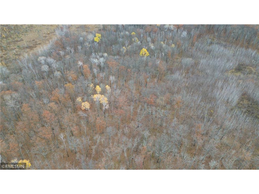 TBD 170th Place Mcgregor MN 55760 - Lost Lake 6812174 image54