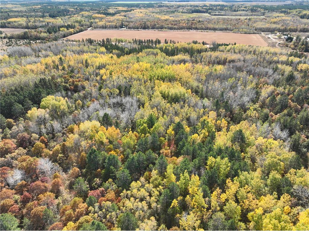 TBD 170th Street Akeley MN 56433 6614303 image1