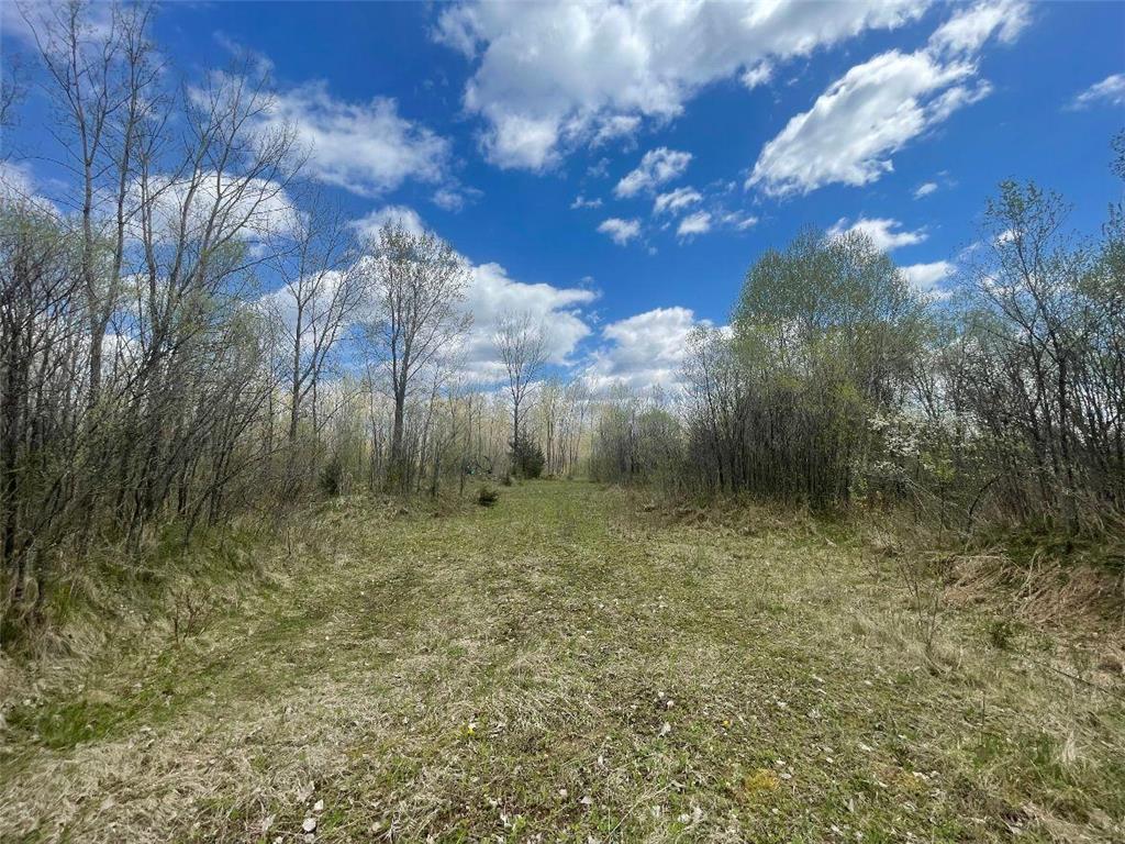 TBD 170th Street N Hugo MN 55038 7084163 image10