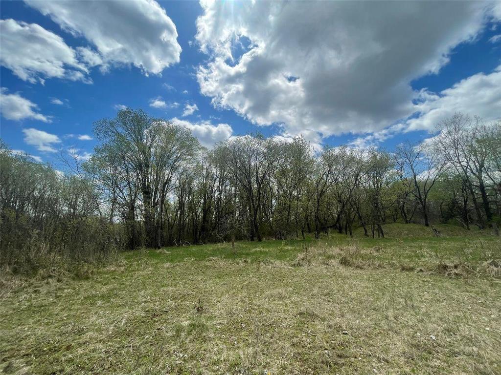 TBD 170th Street N Hugo MN 55038 7084163 image12