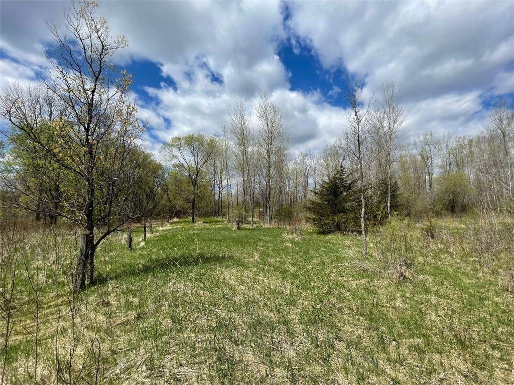 TBD 170th Street N Hugo MN 55038 7084163 image2