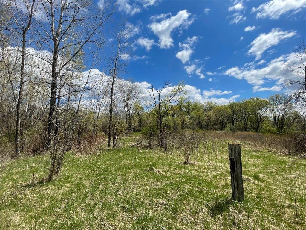TBD 170th Street N Hugo MN 55038 7084163 image6