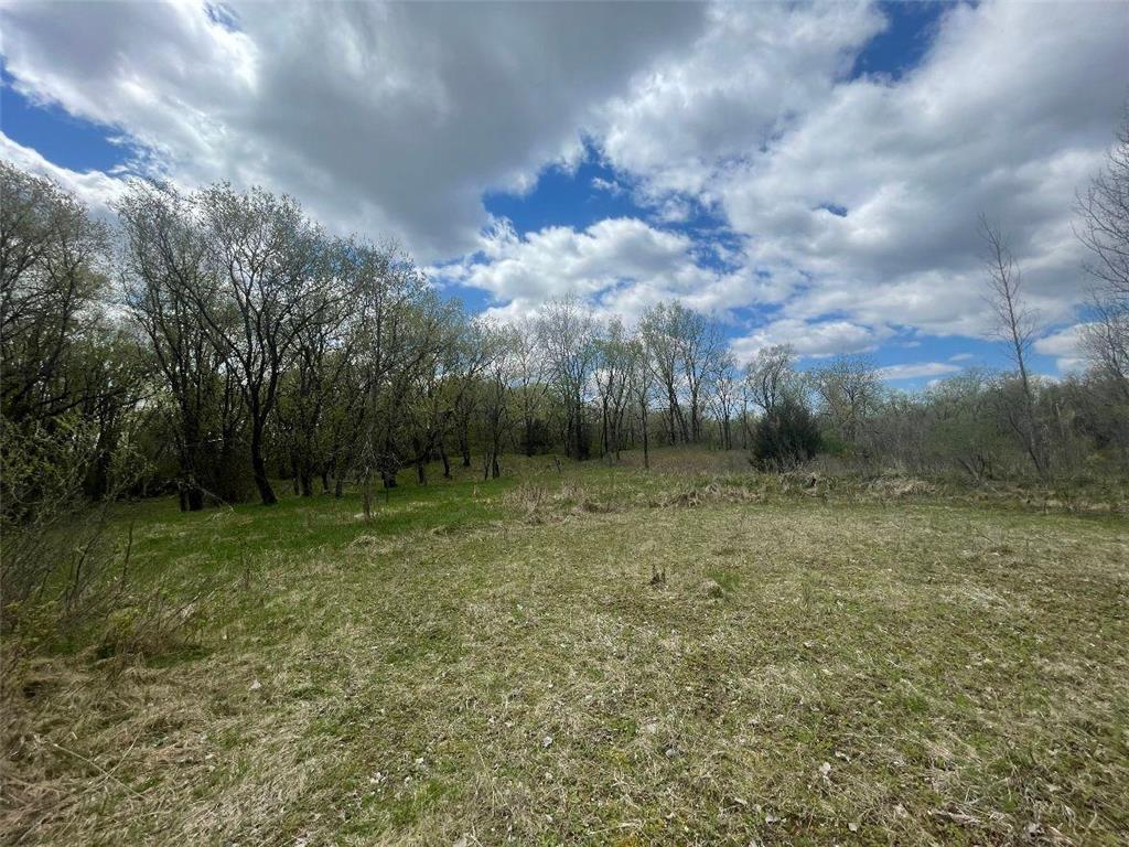 TBD 170th Street N Hugo MN 55038 7084163 image8