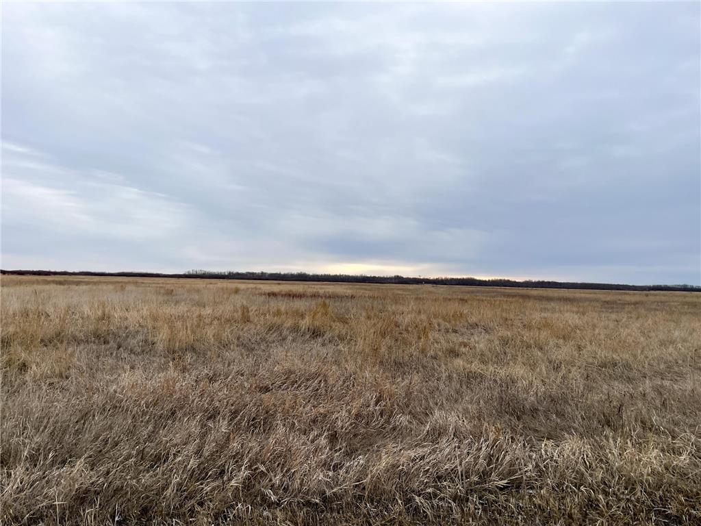 TBD 170th Street NW Numedal Twp MN 56701 7053946 image11