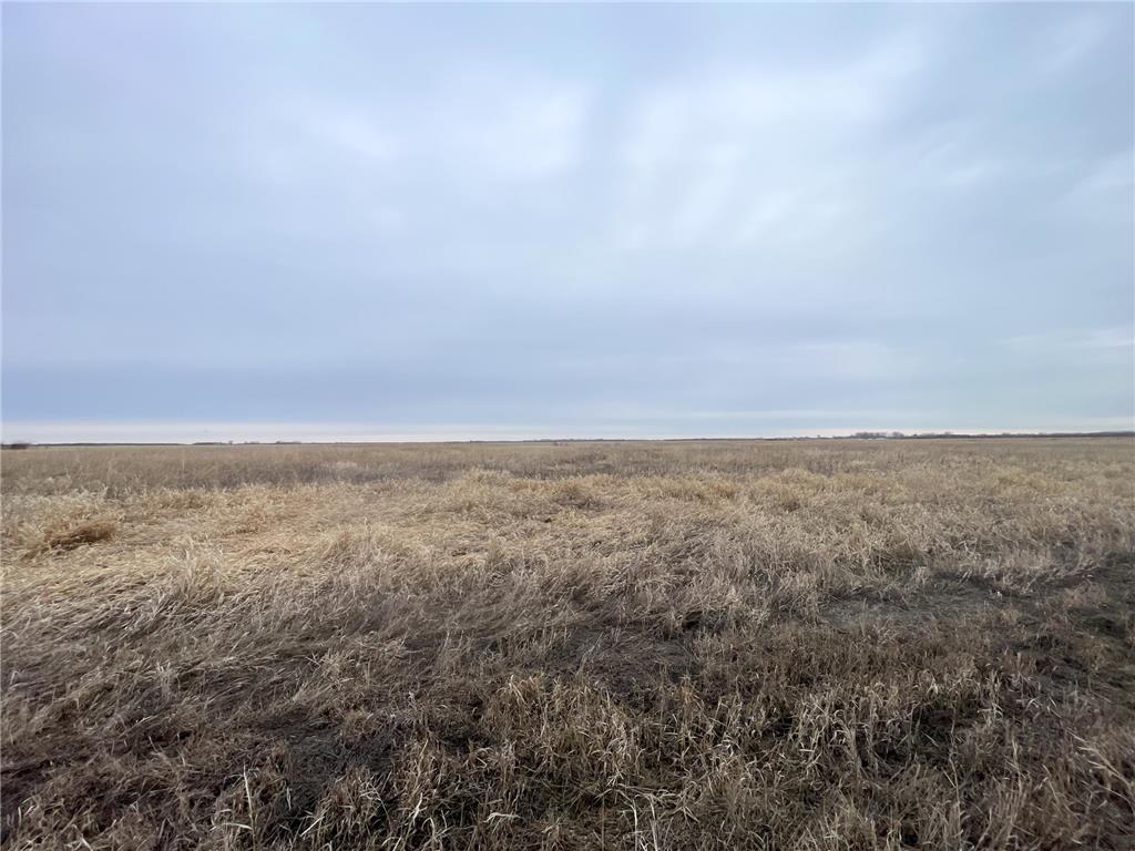 TBD 170th Street NW Numedal Twp MN 56701 7053946 image12