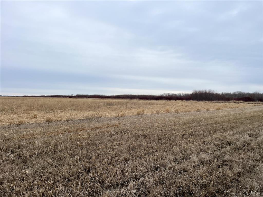 TBD 170th Street NW Numedal Twp MN 56701 7053946 image13