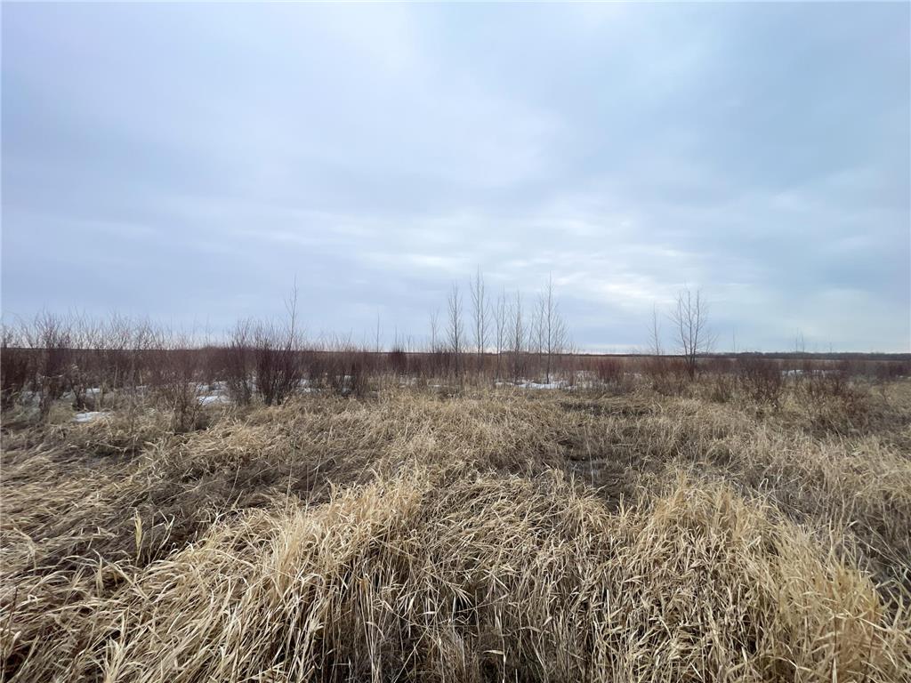 TBD 170th Street NW Numedal Twp MN 56701 7053946 image20