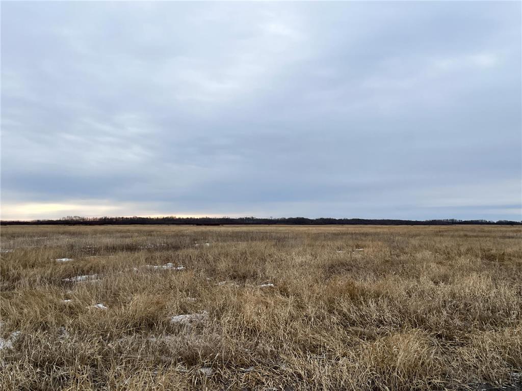 TBD 170th Street NW Numedal Twp MN 56701 7053946 image21
