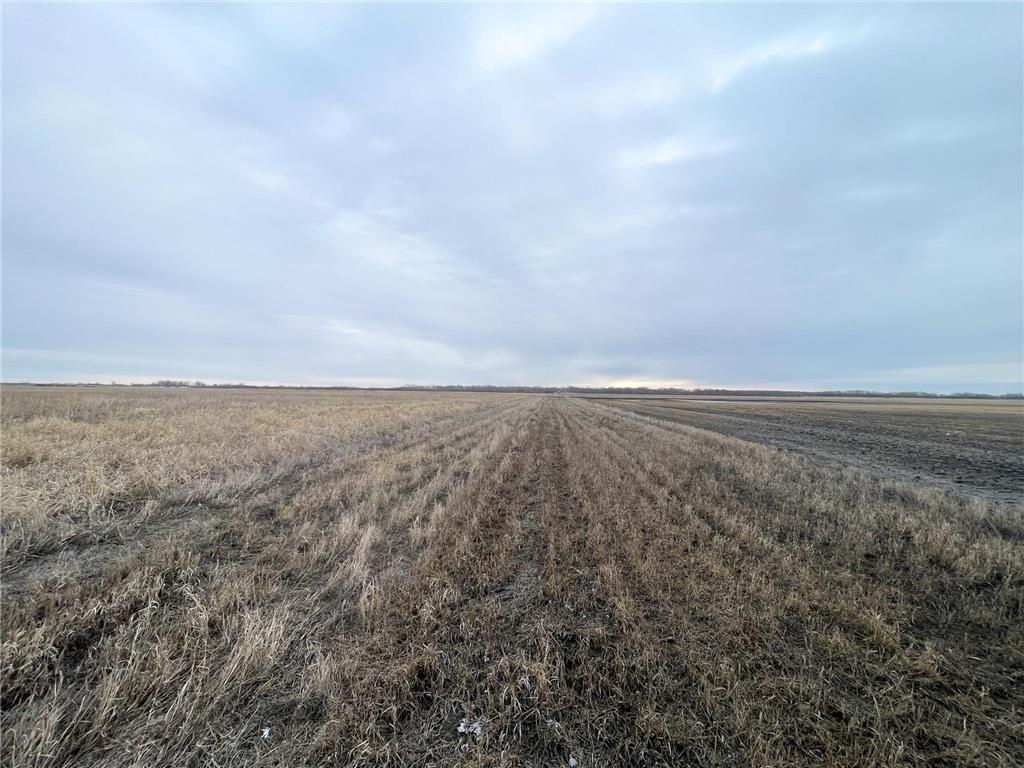 TBD 170th Street NW Numedal Twp MN 56701 7053946 image24