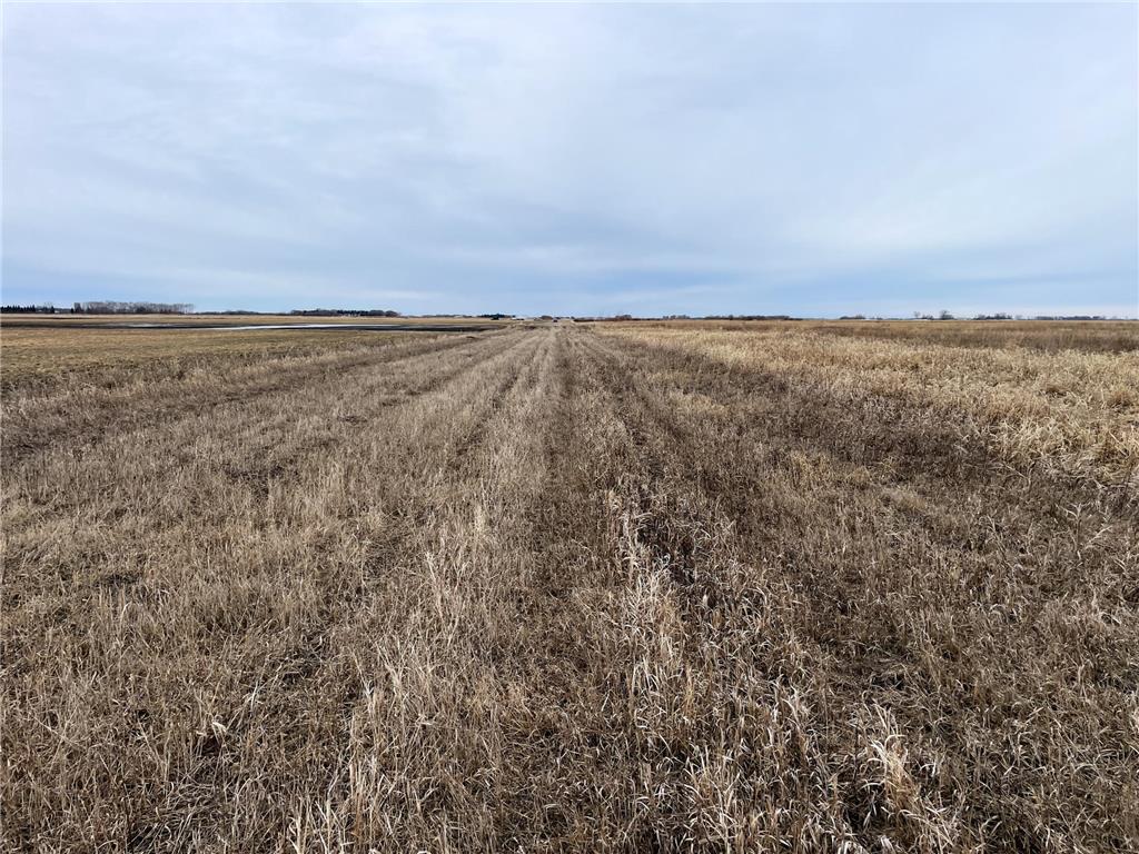 TBD 170th Street NW Numedal Twp MN 56701 7053946 image25